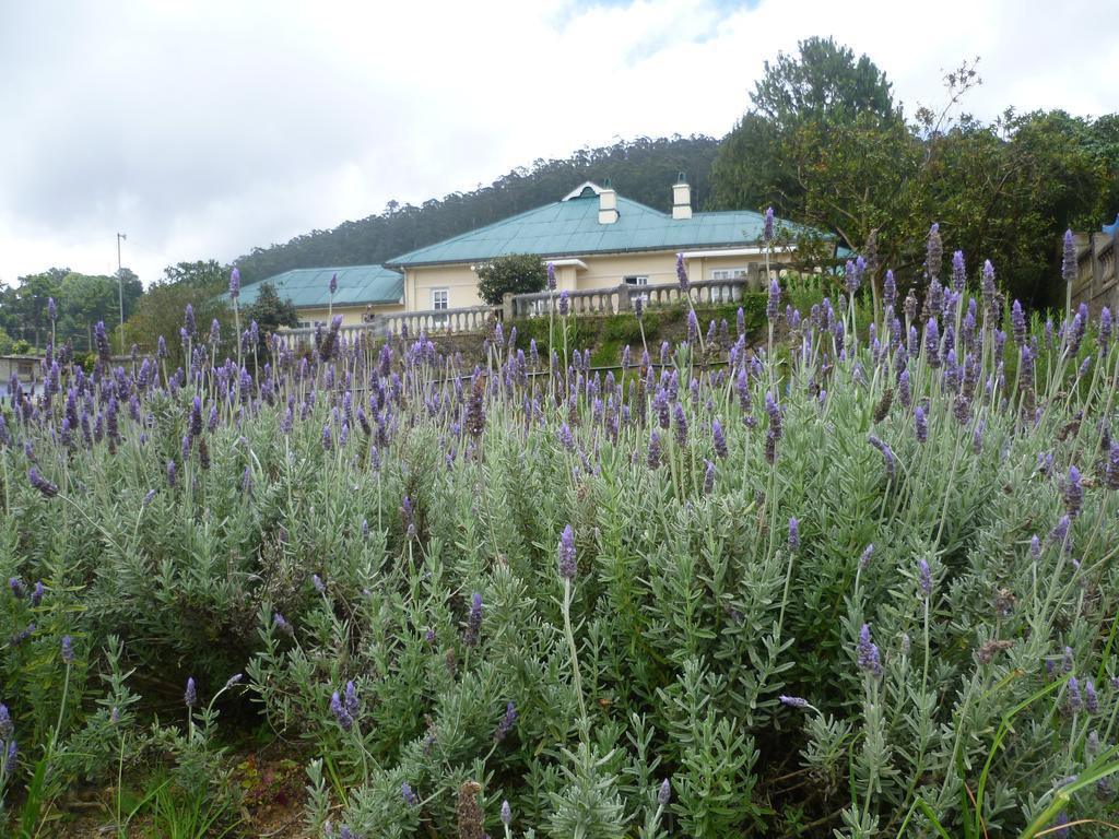 Senani Colonial Holiday Bungalow Nuwara Eliya Rum bild