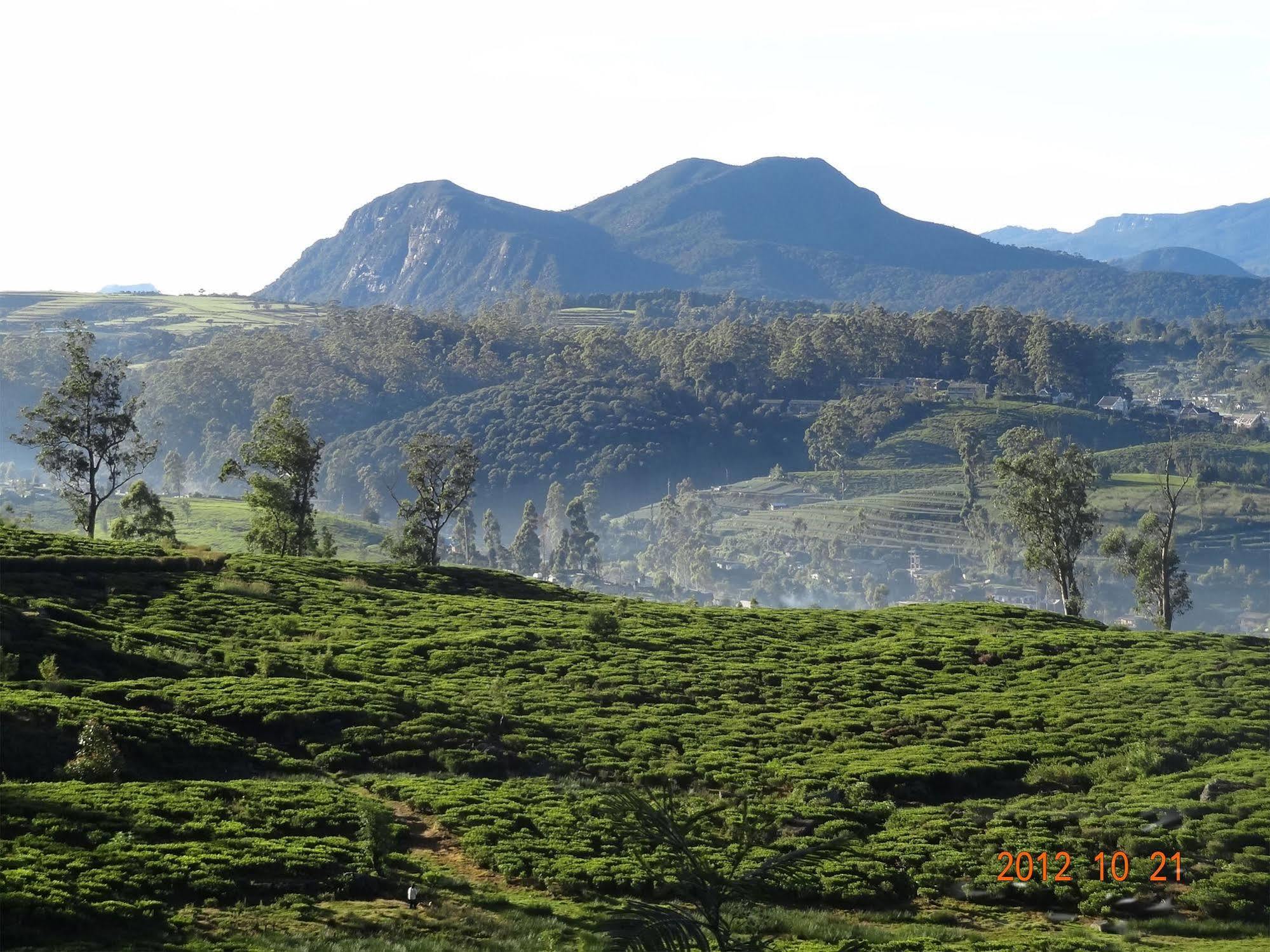 Senani Colonial Holiday Bungalow Nuwara Eliya Exteriör bild